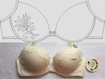 delhi bra manufacturers